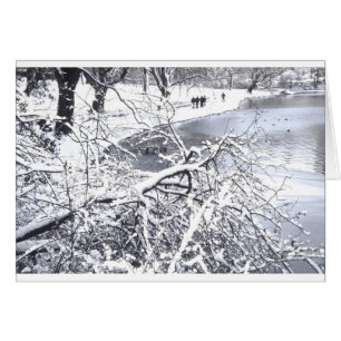 Central Park Winter Lake