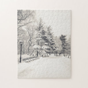 Central Park Winter Path - New York City Jigsaw Puzzle