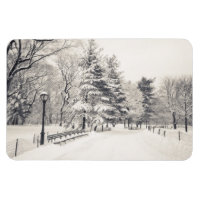 Central Park Winter Path - New York City
