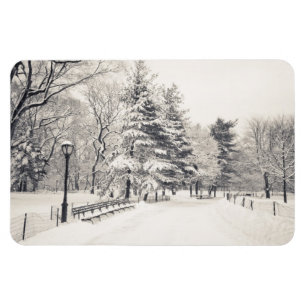 Central Park Winter Path - New York City Magnet