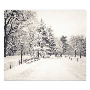 Central Park Winter Path - New York City Photo Print