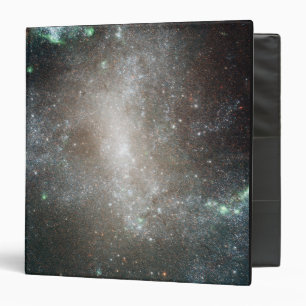 Central region of the barred spiral galaxy binder