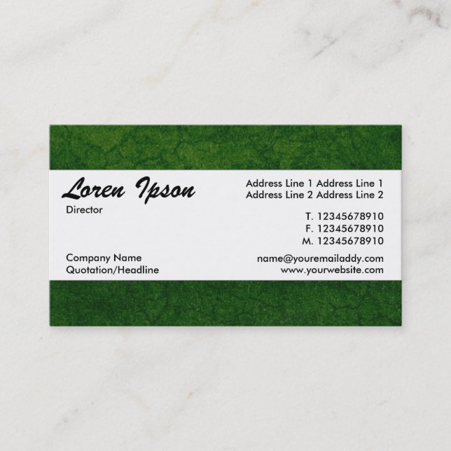 Centre Band 08 - Green Earth Texture Business Card (Front)