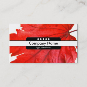 Centre Band 5 Spots Business Card