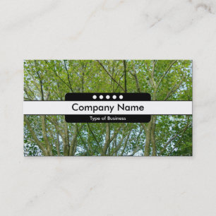 Centre Band 5 Spots - Japanese Maple Business Card