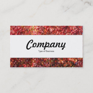 Centre Band  - Autumn Leaves Business Card