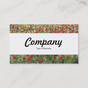 Centre Band  - Bed of Tulips Business Card
