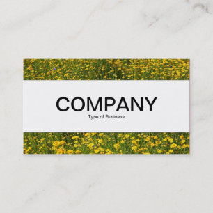 Centre Band  - Bed of Yellow Daisies Business Card