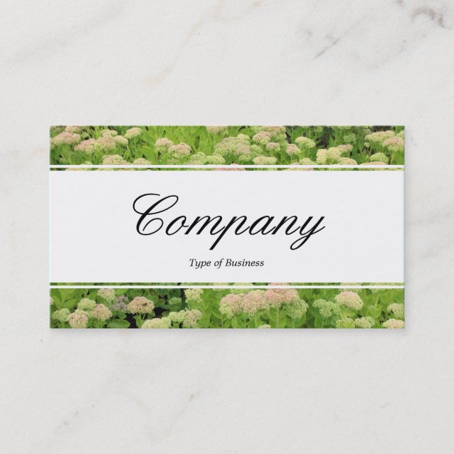 Centre Band (edged) - Sedum (Autumn Joy) Business Card (Front)