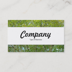 Centre Band - Japanese Maple Business Card