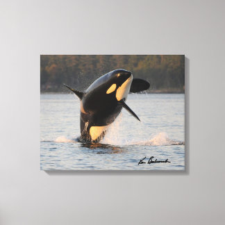 Centre for Whale Research - Canvas Print