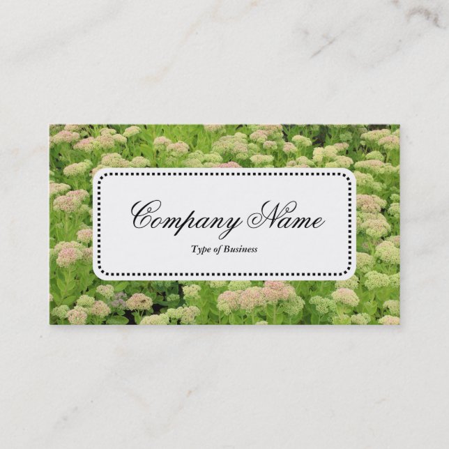 Centre Label v5 - Sedum (Autumn Joy) Business Card (Front)