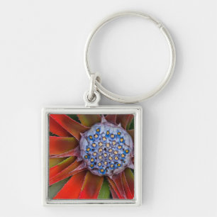 Centre of a blooming agave - San Francisco Keychain