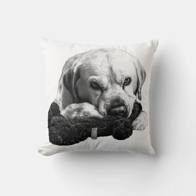 Centre of Attention Throw Pillow (Front)
