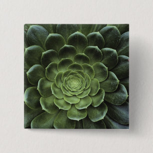 Centre of Cactus 2 Inch Square Button