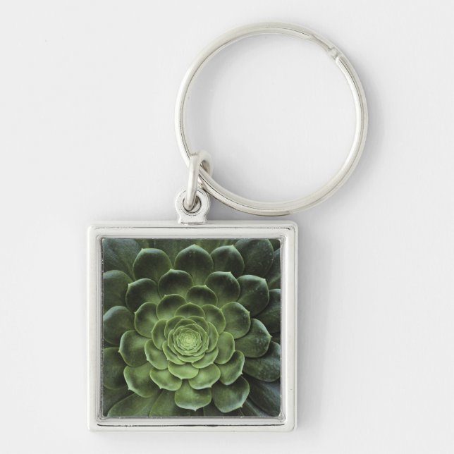 Centre of Cactus Keychain (Front)