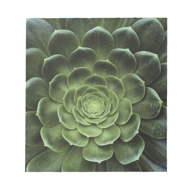 Centre of Cactus Notepad (Front)