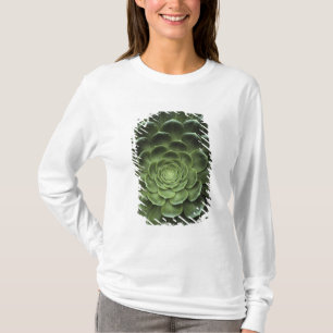 Centre of Cactus T-Shirt