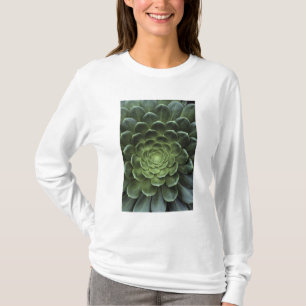 Centre of Cactus T-Shirt