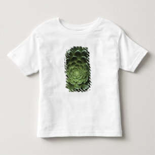 Centre of Cactus Toddler T-shirt