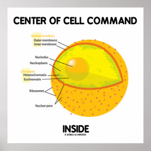 Centre Of Cell Command Inside Nucleus Biology Poster