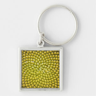 Centre of giant Sunflower (Helianthus annuus) Keychain