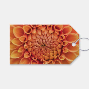 Centre Orange Dahlia Flower Gift Tags