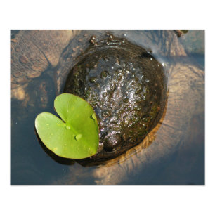 Centred Photo Print