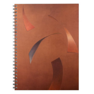 Centrifuge 2010 notebook