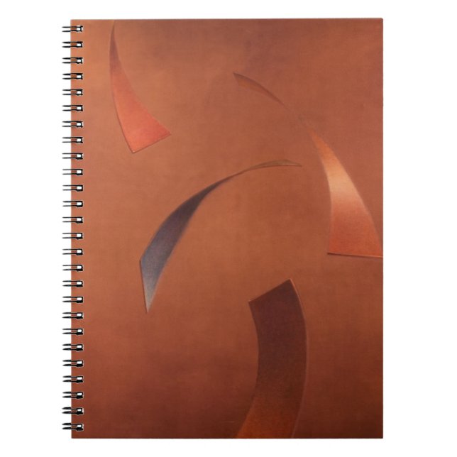 Centrifuge 2010 notebook (Front)