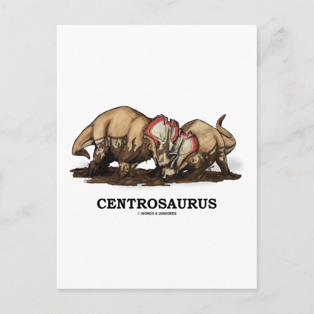 Centrosaurus Postcard (Front)