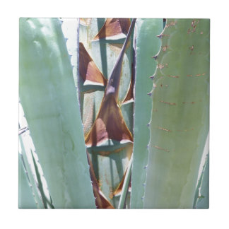 Century or Agave Tile
