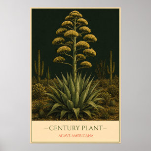Century Plant Poster