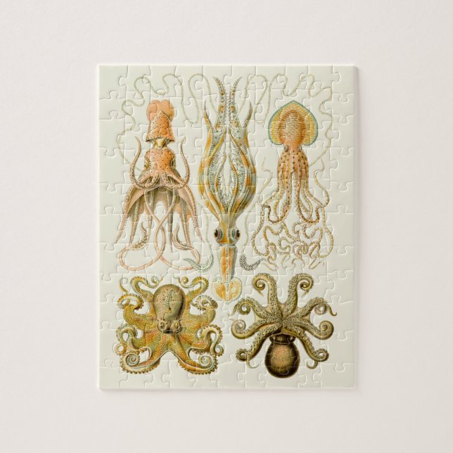 Cephalopod Octopus Squid Marine Nature Jigsaw Puzzle (Vertical)