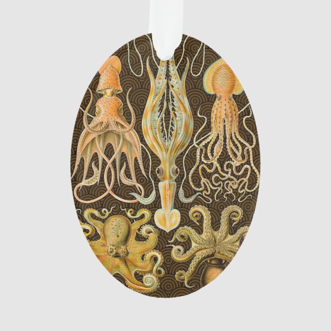 Cephalopod Octopus Squid Marine Nature Ornament (Back)