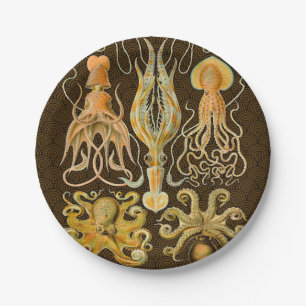 Cephalopod Octopus Squid Marine Nature Paper Plate