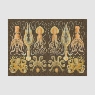 Cephalopod Octopus Squid Marine Nature Tissue Paper