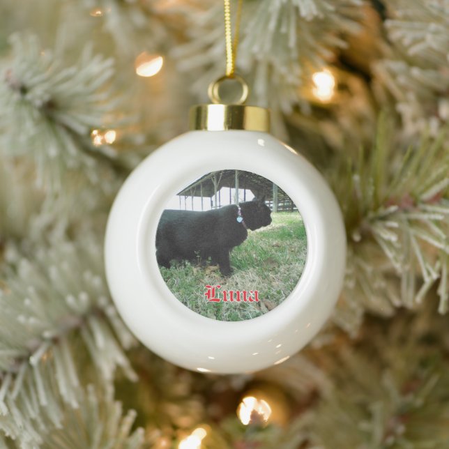 Ceramic Ball Custom Cat Ornament (Tree)