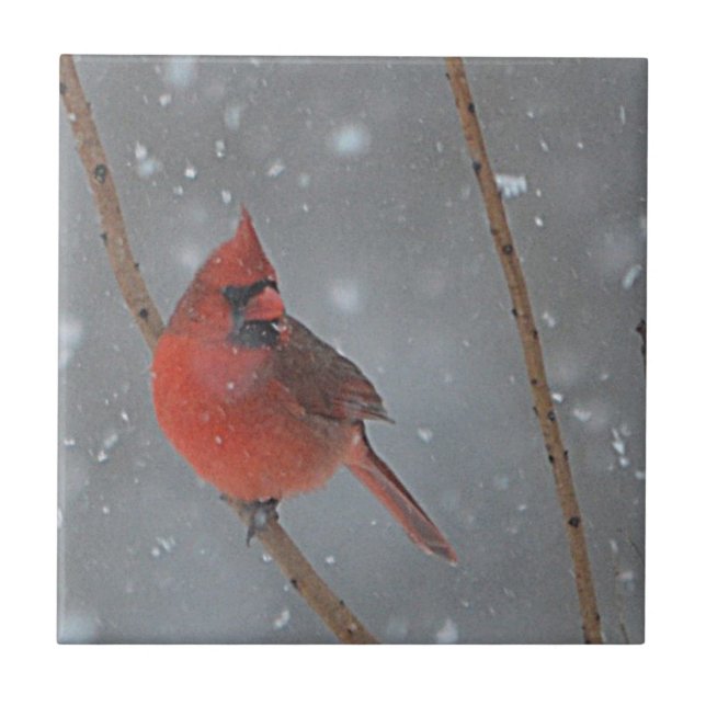 Ceramic Cardinal Tile (Front)