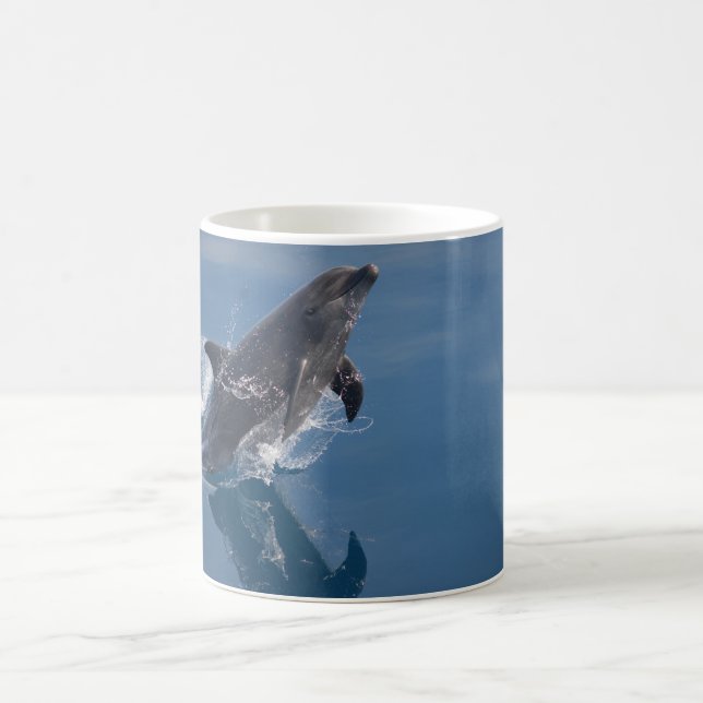 Ceramic Coffee Mug-Dolphin Coffee Mug (Center)