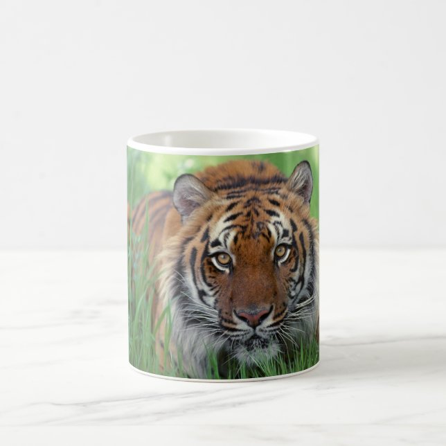 Ceramic Coffee Mug-Tiger Coffee Mug (Center)