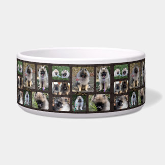 Ceramic dog dish