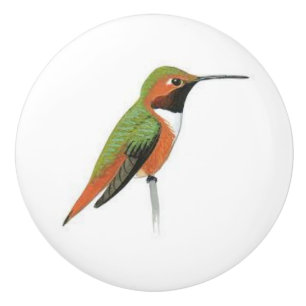 Ceramic Door knob with a Hummingbird