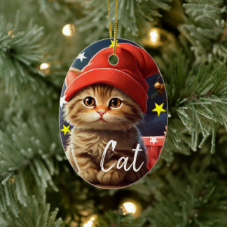 Ceramic embellishment ceramic ornament