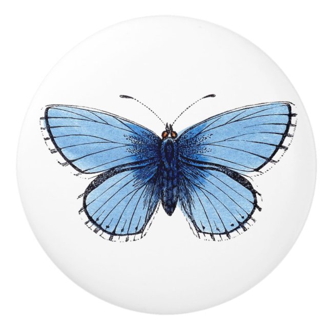 Ceramic Knob - Blue Butterfly (Front)