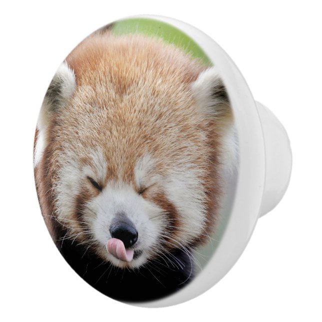 Ceramic Knob Photo red panda , animals 0176. (Right)