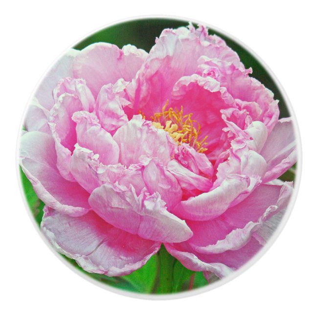 CERAMIC KNOB/ PINK PEONY KNOB (Front)