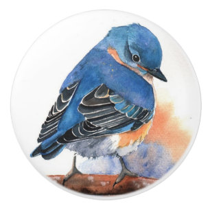 Ceramic Knobs - Watercolours Blue Bird