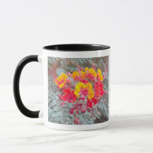 Ceramic Mug with Desert Flower Red Bird of Paradis