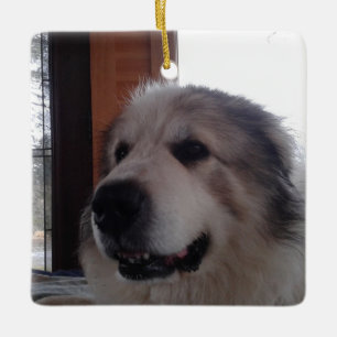 Ceramic Ornament